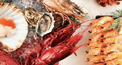 Manuel Alves Cala&ccedil;a Unipessoal LDA